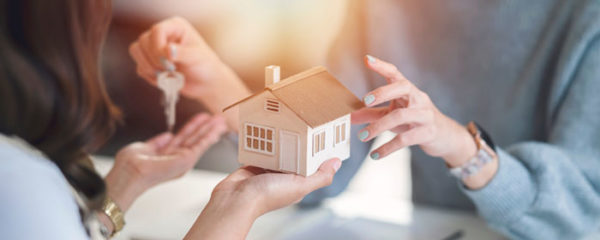 agence immobilière